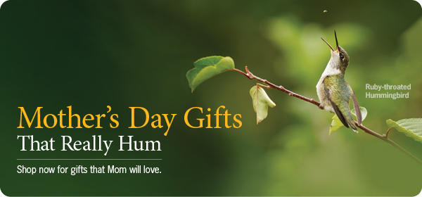 Mother's Day Hummingbird Sale